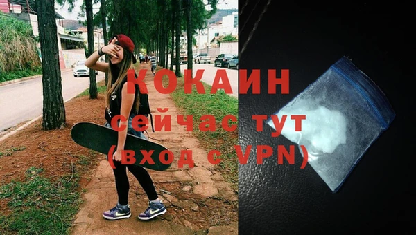 бошки Краснослободск