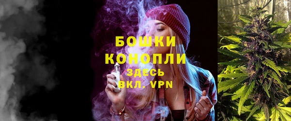 бошки Краснослободск