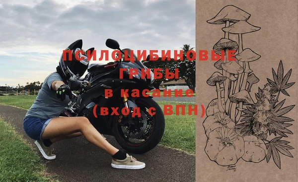 бошки Краснослободск